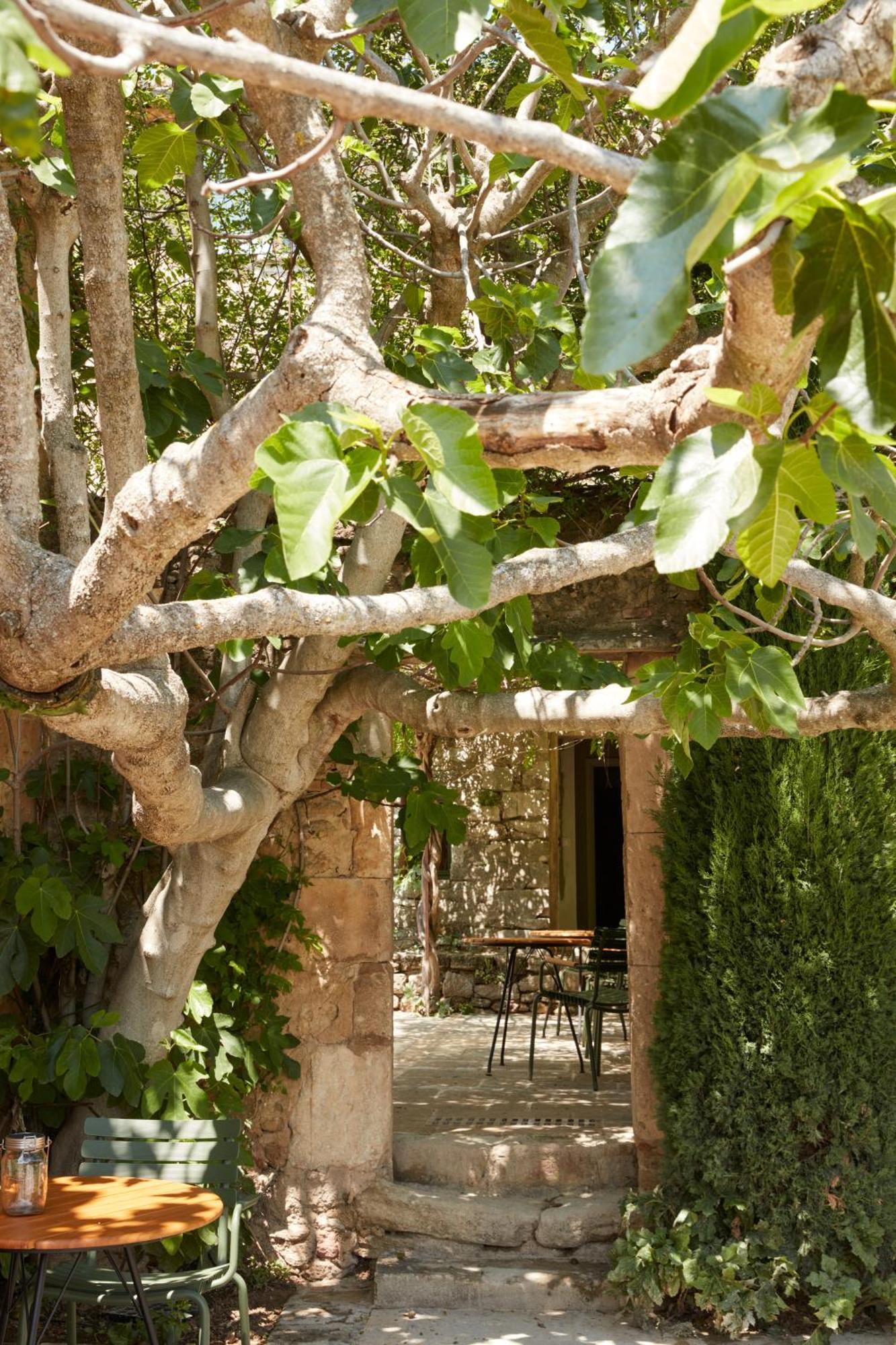 Bed and Breakfast La Bastide Du Mourre à Oppède Extérieur photo